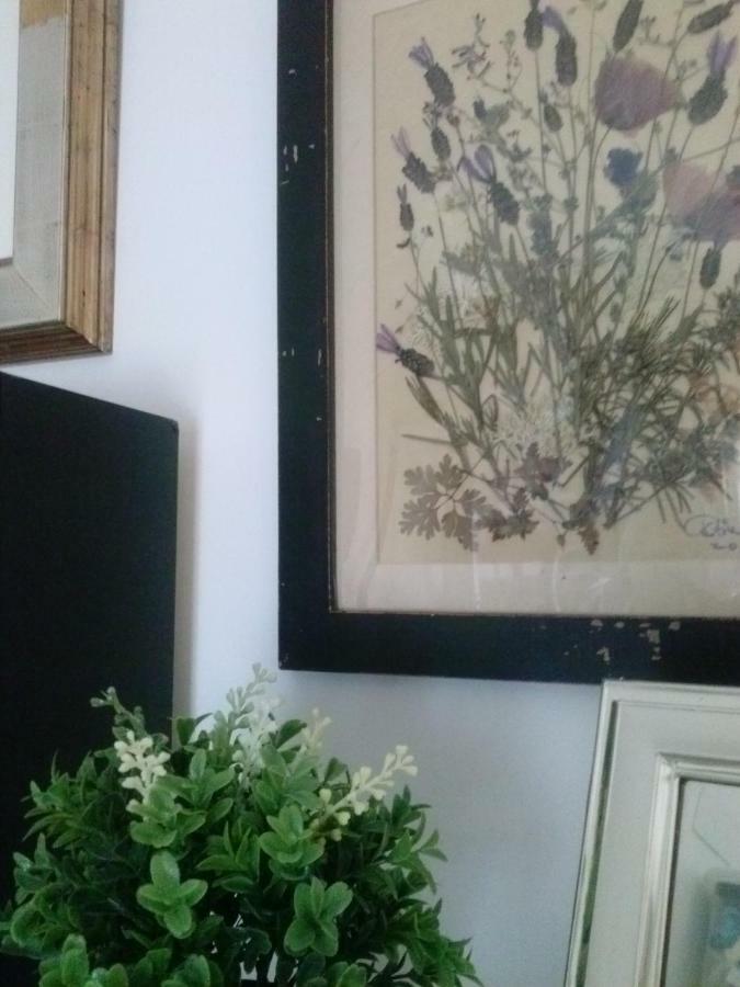 Willa Casa Encantadora Con Piscina Privada Y Chimenea Las Jaras Zewnętrze zdjęcie