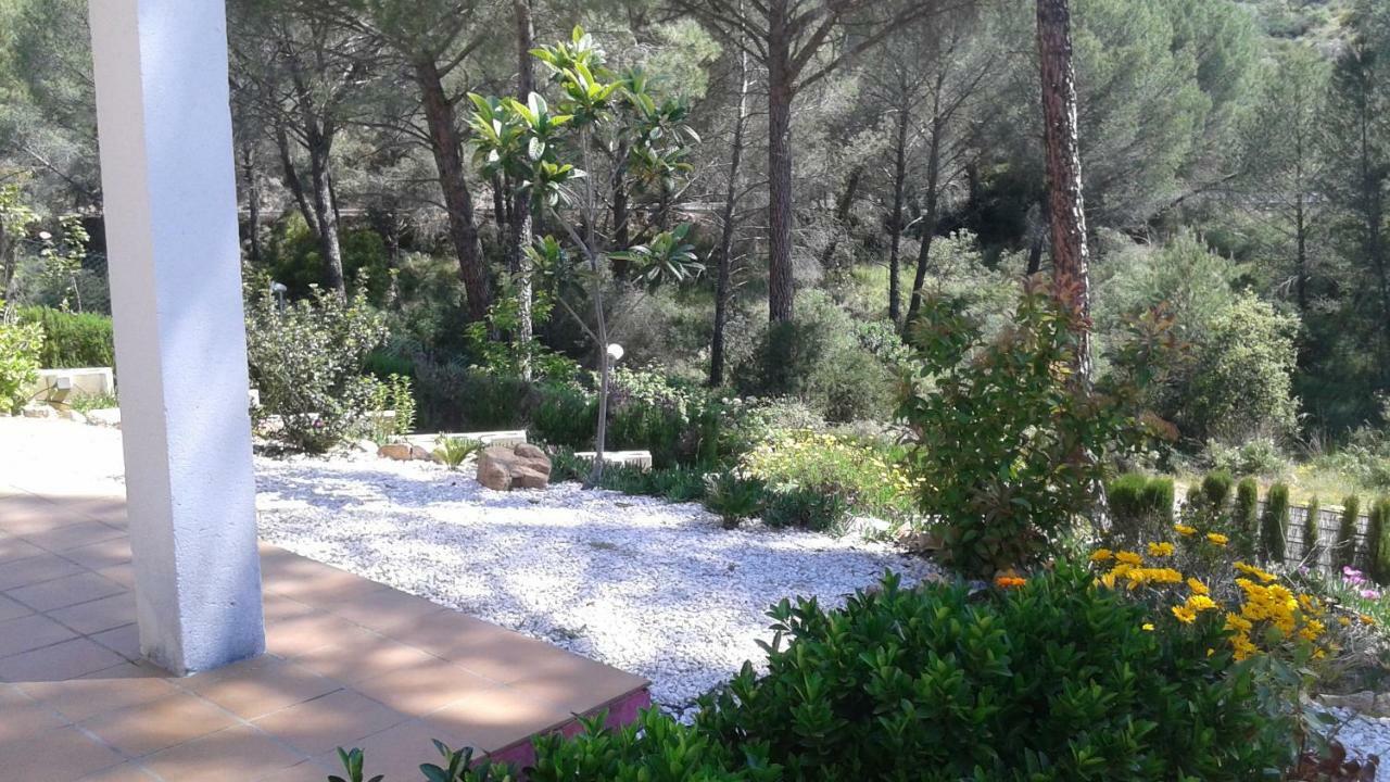 Willa Casa Encantadora Con Piscina Privada Y Chimenea Las Jaras Zewnętrze zdjęcie